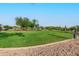 Expansive community park offers walking paths, picnic areas, desert landscaping, and open green spaces at 6965 E Hacienda La Noria Ln, Gold Canyon, AZ 85118