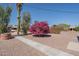 Charming desert-landscaped front yard with pink flowering bougainvillea bush and gravel covering at 11214 N 105Th Ave, Sun City, AZ 85351