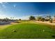 Expansive golf course view with manicured green and palm trees at 15131 W Daybreak Dr, Surprise, AZ 85374