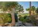 Beautiful desert landscaping with mature trees and bushes at 15131 W Daybreak Dr, Surprise, AZ 85374