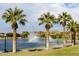 Picturesque pond landscape with palm trees, walking path, rainbow and mountain views at 17496 W Summit Dr, Goodyear, AZ 85338