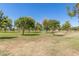 Expansive park area with trees, lawn, and recreational space for residents to enjoy outdoors at 1938 E Myrna Ln, Tempe, AZ 85284