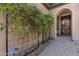 Beautiful climbing vine leading to arched doorway and elegant wood front door at 22206 N 36Th Way, Phoenix, AZ 85050