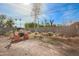 A view of the backyard showing a yard that needs care and block wall at 2237 E Windsor Ave, Phoenix, AZ 85006