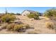 A peaceful view of the back of the house with desert landscaping at 34515 N 142Nd St, Scottsdale, AZ 85262