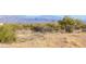 Scenic desert landscape featuring native plants and a backdrop of majestic mountains at 34515 N 142Nd St, Scottsdale, AZ 85262