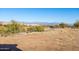 An expansive desert view with native vegetation and scenic mountains in the background at 34515 N 142Nd St, Scottsdale, AZ 85262