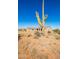 Single story desert home featuring low-maintenance native landscaping and a tranquil natural setting at 34515 N 142Nd St, Scottsdale, AZ 85262