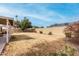 Generous backyard with a mix of green and dry grass, framed by a block wall for privacy and mature trees at 5226 W Freeway Ln, Glendale, AZ 85302