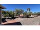 A gravel backyard with a variety of trees, plants, and shrubs and a brick walkway at 9714 W Terrace Ln, Sun City, AZ 85373