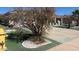 Single Gathering house with desert landscaping and a yellow fire hydrant on a sunny day at 9714 W Terrace Ln, Sun City, AZ 85373