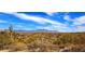 Exterior view of the property in a desert landscape with mountain views at 14402 N Lost Tank Trl, Fort McDowell, AZ 85264