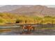 Horses wading in a lake surrounded by desert landscape at 14402 N Lost Tank Trl, Fort McDowell, AZ 85264