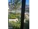 Inviting view of the community pool through the window with lush landscaping and clear blue water at 3637 E Monterosa St # 5, Phoenix, AZ 85018