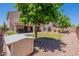 View of the well manicured lawn of the backyard of this home with a covered patio at 5445 S 239Th Dr, Buckeye, AZ 85326