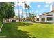 Expansive backyard view with a lush lawn, swimming pool, and mature palm trees at 9159 N 108Th Pl, Scottsdale, AZ 85259