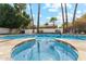 Inviting backyard pool and spa surrounded by palm trees and lush landscaping at 9159 N 108Th Pl, Scottsdale, AZ 85259