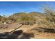 View of the rugged terrain and desert vegetation in the surrounding neighborhood at 9804 N 5Th Ave, Phoenix, AZ 85021