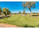 Beautiful golf course view with manicured green grass and mature trees on a sunny day at 10410 E San Tan Blvd, Sun Lakes, AZ 85248