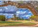 Scenic view of the golf course framed by a mature, sprawling tree at 1086 S Western Skies Dr, Gilbert, AZ 85296