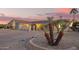 Charming single-story home with desert landscaping, mature desert plants, and a lengthy driveway at 11005 W Crestbrook Dr, Sun City, AZ 85351