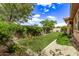 Beautiful backyard featuring lush landscaping and well-maintained artificial grass lawn at 2436 W Kachina Trl, Phoenix, AZ 85041