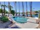 Inviting backyard pool surrounded by mature palm trees and waterfront views at 2542 S Playa --, Mesa, AZ 85202