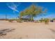 Exterior shot of home showcasing mature trees, open space, and covered porch at 31555 N Royce Rd, San Tan Valley, AZ 85144