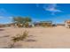 Desert landscape with native vegetation and a view of the home at 31555 N Royce Rd, San Tan Valley, AZ 85144