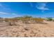 Wide open desert landscape featuring native vegetation and a view of the home at 31555 N Royce Rd, San Tan Valley, AZ 85144