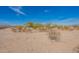 Expansive desert landscape with native vegetation and a view of the home against a clear blue sky at 31555 N Royce Rd, San Tan Valley, AZ 85144