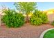 Well-maintained backyard featuring easy to maintain rock landscaping and citrus trees at 4545 S Ellesmere St, Gilbert, AZ 85297