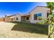 Well-maintained backyard featuring lush lawn and covered patio at 6656 W Springfield Way, Florence, AZ 85132