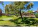 Community putting green surrounded by mature trees and the pool area at 7009 E Acoma Dr # 1046, Scottsdale, AZ 85254