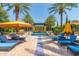 Resort-style pool and spa area with lounge chairs and palm trees providing shade and a luxurious ambiance at 815 E Laddoos Ave, San Tan Valley, AZ 85140