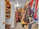 Walk-in closet with ample shelving and plenty of storage for clothes and shoes at 8926 W Lockland Ct, Peoria, AZ 85382