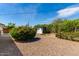 A wide backyard showing the desert landscaping, grass and shed at 10846 W Sun City Blvd, Sun City, AZ 85351