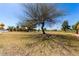 Neighborhood with a expansive grassy field with mature trees at 10846 W Sun City Blvd, Sun City, AZ 85351