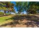 Shady trees over a lush green field of grass at 10846 W Sun City Blvd, Sun City, AZ 85351