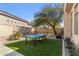 Backyard with a ping pong table and mature trees, offering space for recreation and leisure at 21432 N 77Th Pl, Scottsdale, AZ 85255