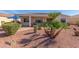 Scenic backyard featuring a covered patio, desert landscaping, and a variety of lush plants and greenery at 23034 N Pedregosa Dr, Sun City West, AZ 85375