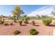 Manicured backyard showcasing desert landscaping, lush green spaces, and a tranquil golf course view at 23034 N Pedregosa N Dr, Sun City West, AZ 85375