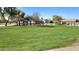 Vast green space showcases community amenities including a picnic area and playground, perfect for outdoor enjoyment at 2541 S Sunnyvale Ave, Gilbert, AZ 85295