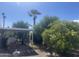 Backyard with shade cover, lush green trees, and a view of a palm tree on a clear day at 2744 N Trevino Pl, Mesa, AZ 85215