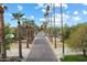 Scenic street view featuring tall palm trees and lush greenery at 2942 E Mulberry Dr, Phoenix, AZ 85016