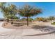 Neighborhood park with shade trees and paved walking path at 337 E Clairidge Dr, San Tan Valley, AZ 85143