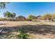 Community park with grass and trees in a residential area at 337 E Clairidge Dr, San Tan Valley, AZ 85143