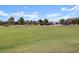 Expansive green park with lush trees and ample space for outdoor activities, perfect for community gatherings at 37056 W Prado St, Maricopa, AZ 85138