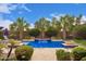 Backyard pool with waterfalls, paver deck, and tropical landscaping at 3881 E Birchwood Pl, Chandler, AZ 85249