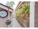 Side yard featuring an outdoor clock and climbing vines, adding character to the property at 3938 E Gable Ave, Mesa, AZ 85206